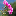 rosecosmet.ru