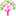 npyacademy.com