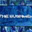 thebushmen.bandcamp.com