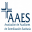 aaes.webnode.es