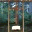 discovermorebothellumc.wordpress.com