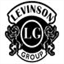 levinsongroup.com