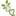 gpc-biotech.com