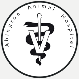 abingtonanimal.com