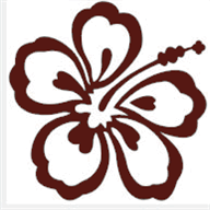 kona-vacationrental.com