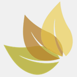 molinoamaquiademedin.com