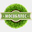 noginskiy.mosoblles.com