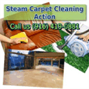 steamcarpetcleaningca.com