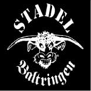 stadel-baltringen.de