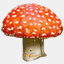mushroompepperdry.com