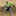 troymohrland.weebly.com