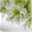 snowfang.wordpress.com