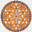 icievolution.com
