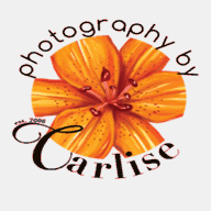 photographybycarlise.com