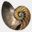 epicofevolution.org