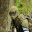 mikewashington.wordpress.com