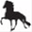 haveahorse.com