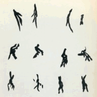 geneticvisions.org