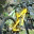 bikestowe.wordpress.com