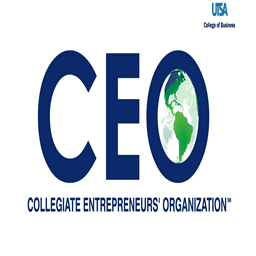 roadrunnerceo.com