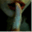 surethingnatinator.wordpress.com