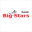 bigstarsband.com