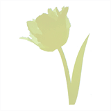 crescentflowers.co.uk