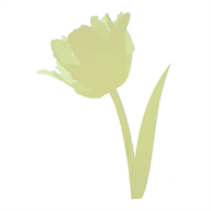 crescentflowers.co.uk