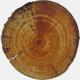 ez2go.agenttour.com.tw