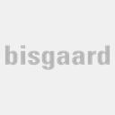 bizzultz.net