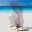 mauritiusexcursions.wordpress.com