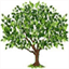 richter-family-tree.com