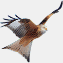 redkite.abdn.ac.uk