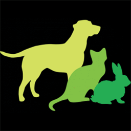 haydenpanettiereexasperated.typepad.com