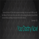 yourdestinynow.org