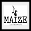 maize-instruments.com