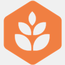 biissue.com