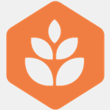 biissue.com