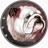 bulldog-anglais.fr.gd