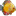 mirekkon.akwarium.net.pl