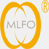 mlfworldgroup.com