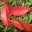 barrygoanna.com