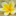 rosalindatraining.com