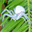 leafspider.com