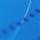 metroappraisalsidaho.com