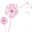 dandelionwaxing.com