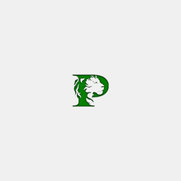 paysonlions.net