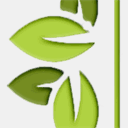 myhealthylifestyletips.com