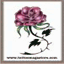 lily-joy.over-blog.com