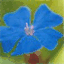 floresdebach.over-blog.es